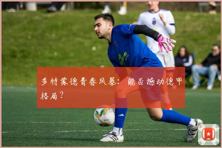 多特蒙德青春风暴:能否撼动德甲格局?
