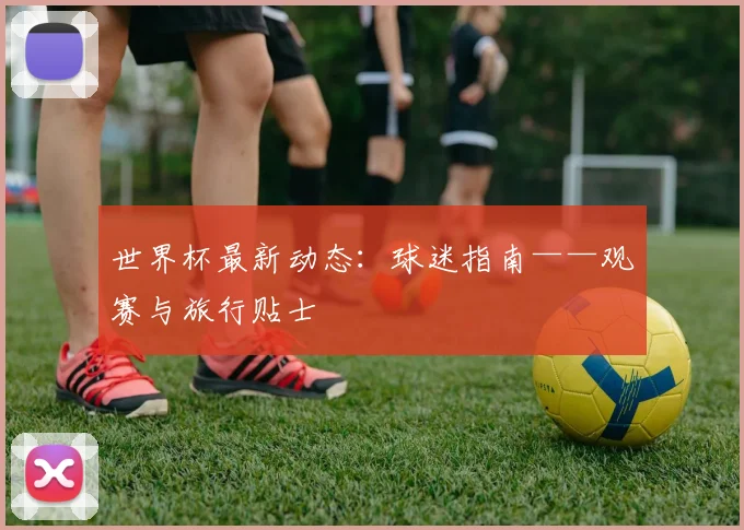 世界杯最新动态：球迷指南——观赛与旅行贴士